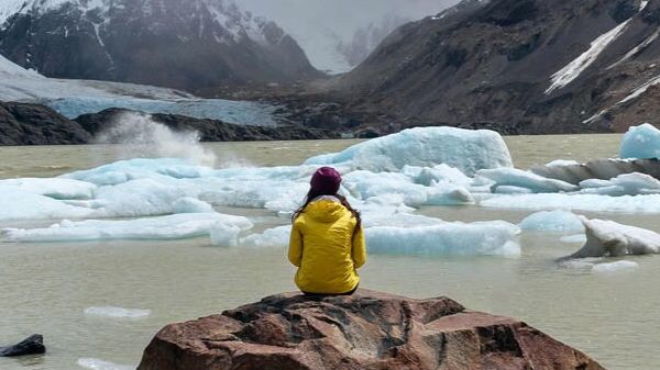 Subsídio ambiental e de sustentabilidade da ONU